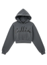 Colliér Charcoal Gray Crop-PulloverW)